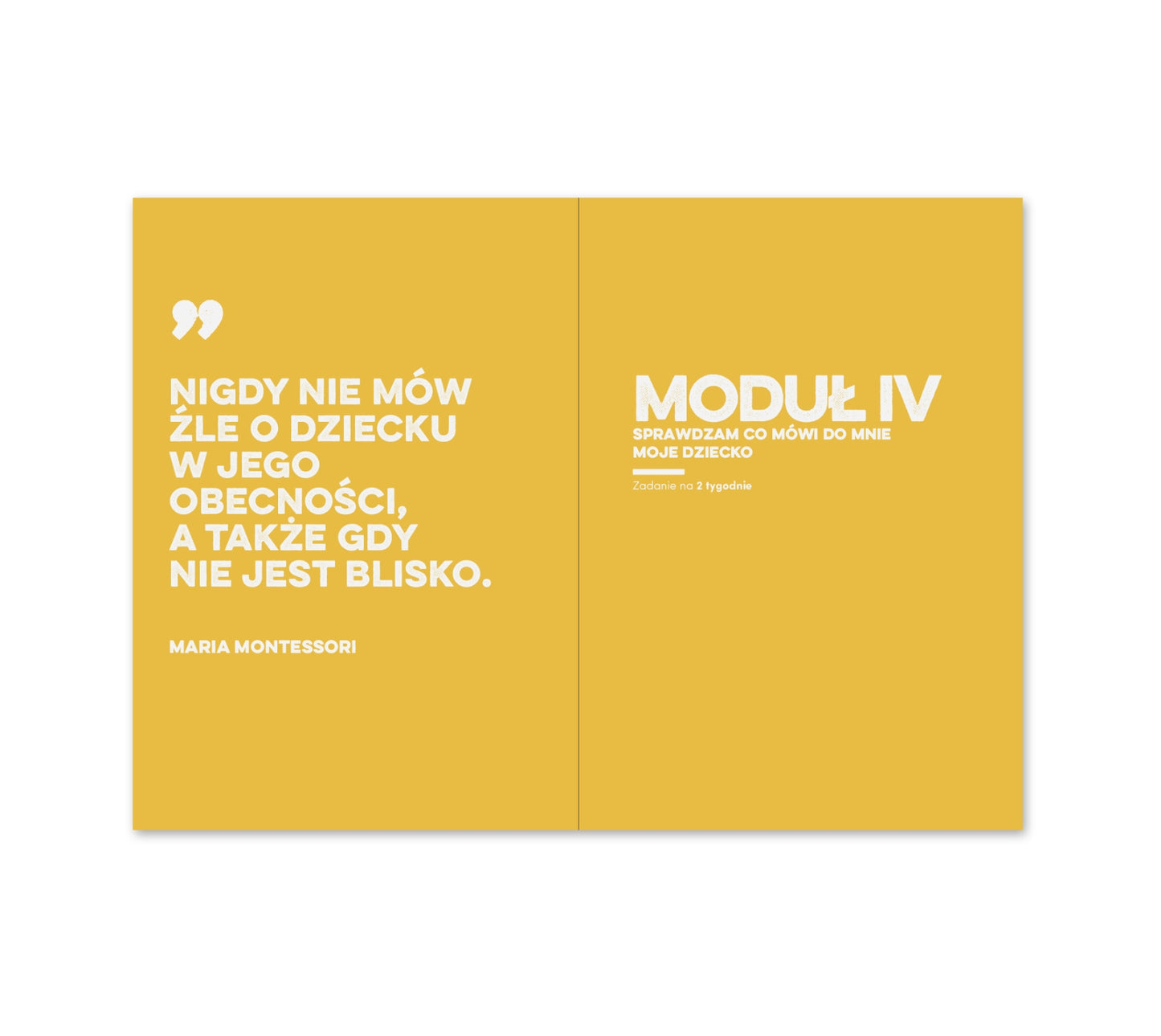 Warsztatoksiążka FUNDAMENT RODZICA